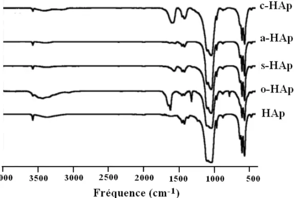 Figure  II-4 :  Spectres  infrarouges  des  apatites  modifiées  par  les  carboxylates  comparés  à 