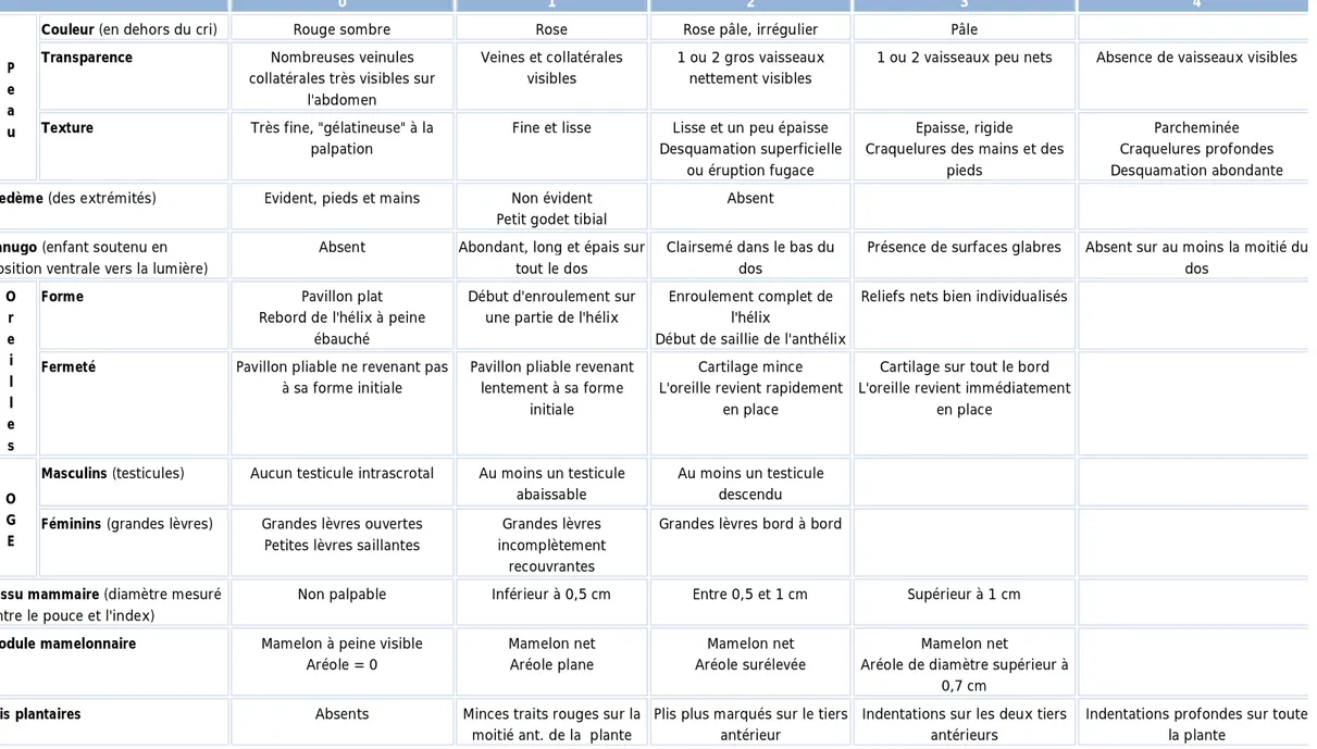 Tableau 5 : Diagnostic de maturation morphologique ou score de Farr   0  1  2  3  4  P  e  a  u 