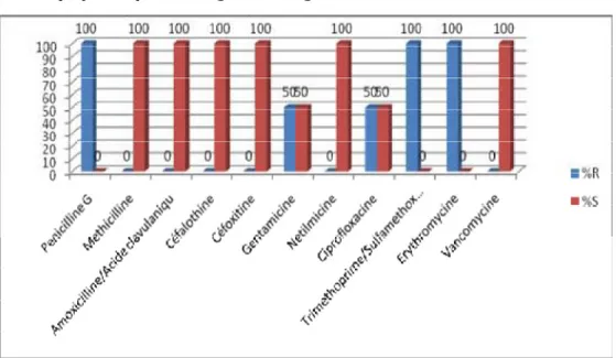 Diagramme N° 3 : Etat de Résistance du Staphylocoque à coagulase négative aux  services d’ophtalmologie du CHU IBN ROCHD de CASABLANCA