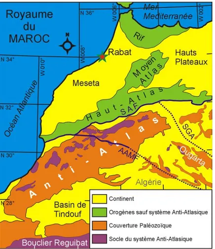 Figure 7. Limites cratoniques de l’Anti-Atlas. SAF : South Atlas Fault ( Faille sud atlasique),  AAMF : Anti-Atlas Major Fault (Accident Majeur), SGA : Saoura gravimetric anomaly (Anomalie  gravimétrique du Saoura).