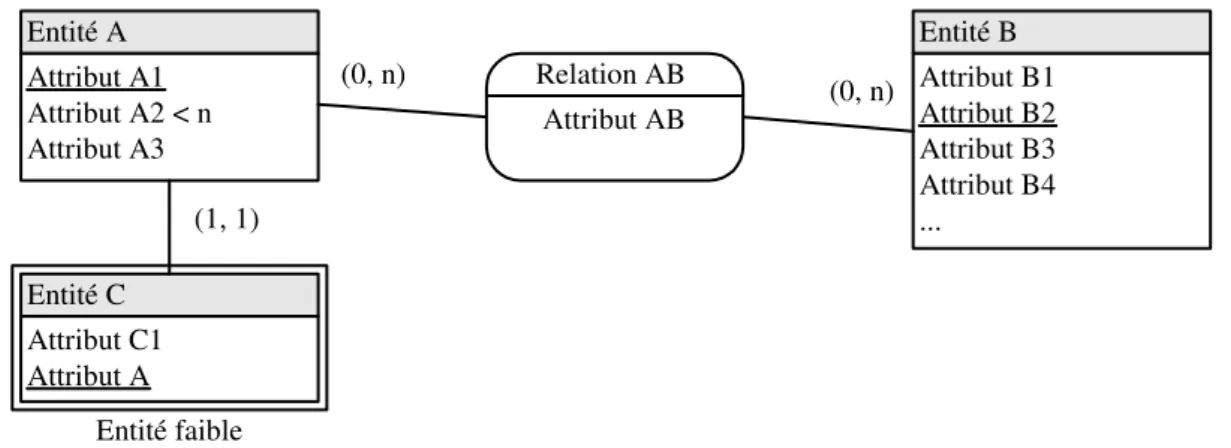 Figure II-5 : Schéma Entités-Relations 