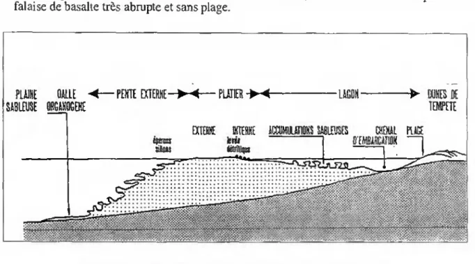 figure 2.4 : Les zones morphologiques principales des récifs de Maurice 