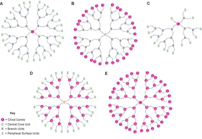 Figure 17 : Représentations schématiques des divers types de dendrimères chiraux : (A) un noyau central  chiral,  (B)  unités  chirales  sur  la  surface,  (C)  noyau  achiral  couplé  aux  branches  constitutionnellement  différentes,  (D)  unités  à  embranchement  chirales  et  (E)  unités  chirales  au  noyau,  aux  branches  et  à  la 