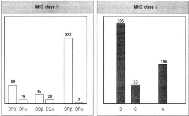 Fig 2 : Polymorphisme des gènes du MHC :