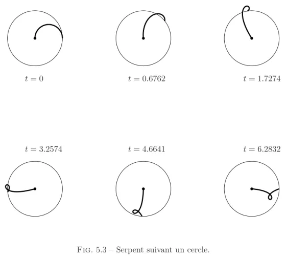 Fig. 5.3 – Serpent suivant un cercle.