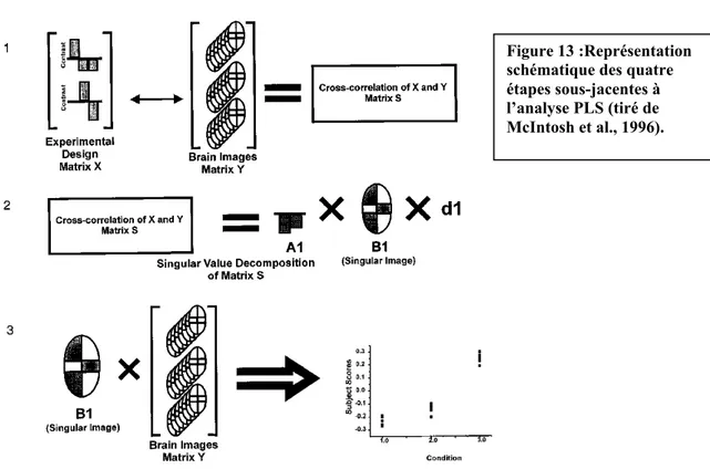 Figure 13 :Représentation schématique des quatre étapes sous-jacentes à l’analyse PLS (tiré de McIntosh et al., 1996).