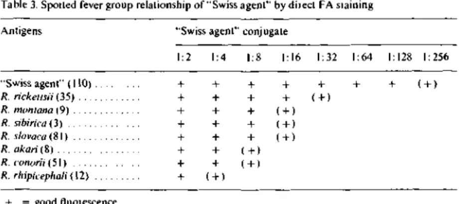 Table 3. Spotted fever group relationship of &#34;Swiss agent&#34; by direct FA staining  Antigens &#34;Swiss agent&#34; conjugate 