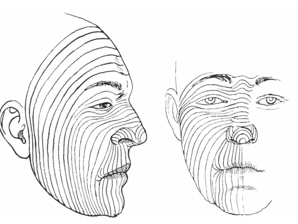 Fig. 8.   Lignes de Langer 