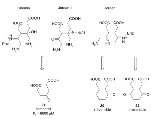 Figure 23 : Comparaison des structures postulées comme intermédiaires par Shemin et Jordan respectivement  avec les diacides utilisés comme inhibiteurs 