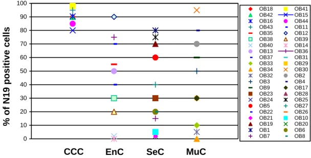 Figure 7. Distribution of BARD1 (N19) expression in different type of ovarian carcinoma