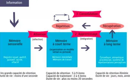 Figure 1: Les clés pour mieux mémoriser 