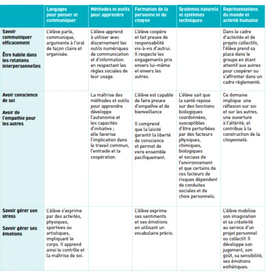 Figure 1 : Mise en perspective des CPS et des domaines du socle (2017) 