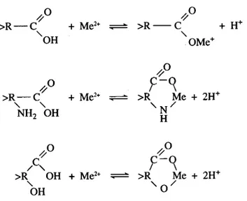 Figure 2: Surface complex formation of metals with the non-specific binding sites of the cell wall (&gt;R  represents the remainder of a cell wall glycoprotein)