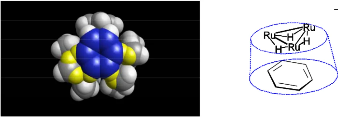 Figure 1. Modélisation moléculaire du complexe d’inclusion [C 6 H 6 ⊂ 1] + . Cette modélisation  selon laquelle la molécule de benzène (en bleu) s’approche parallèlement à la poche hydrophobe  du complexe (au plan Ru 3 ) entraîne cependant des répulsions s