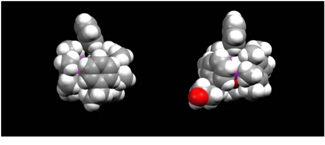 Figure 15. Structures moléculaires (représentations « space filling ») des complexes d’inclusion  [C 6 H 6 ⊂ 5]
