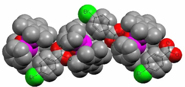 Figure 26. Structure moléculaire (représentation « space filling ») de la chaîne infinie formée par  les entités [4-BrC 6 H 4 COOH ⊂ 1] + 