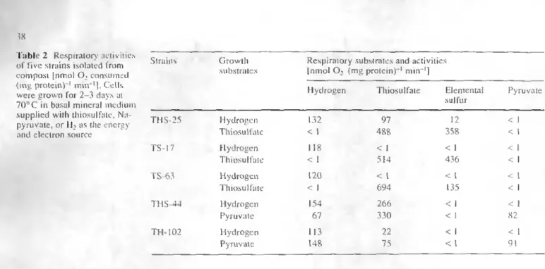 Table 2 Respirator) activities  of five strains isolated from 