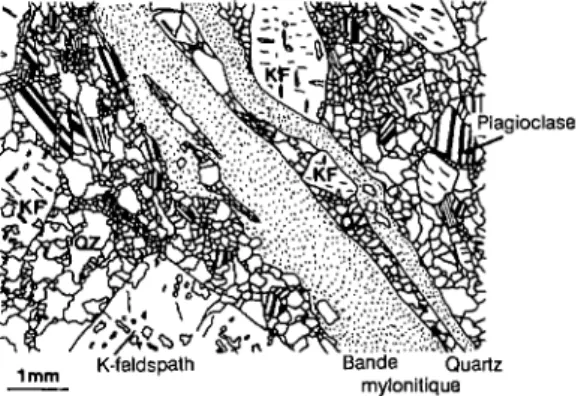 Fig. 4 Texture mylonitique d'une zone de cisaillement  à déformation cataclastique des feldspaths: bande  mylo-nitique à grain fin, moulant des clastes de quartz (QZ) et  de feldspaths (KF, PL) fracturés