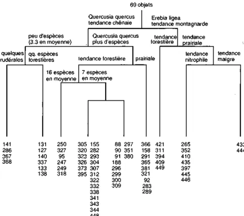 Fig. 1: tri des relevés lépidoptérologiques (TW1NSPAN) 