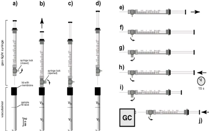 Fig. 4-11: Schematic illustration of the syringe handling procedure prior to sample injection into the gas 