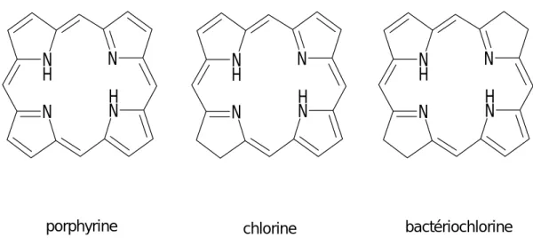 Figure 1.1. : Squelettes de base des chlorophylles.