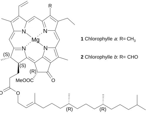 Figure 1.4. : Structure des chlorophylles  a et b avec leur configurations absolues.