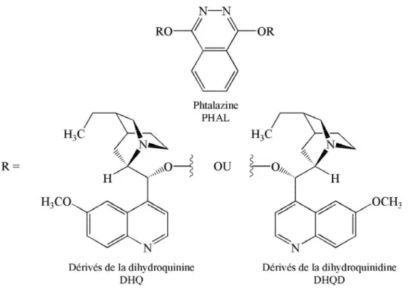 Figure 1.16 : Dérivés chiraux de la quinine et de la quinidine. 