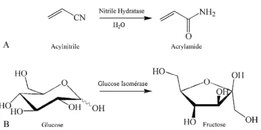 Figure  1.17  :  Exemples  de  catalyses  enzymatiques  industrielles.  A.  Synthèse  de  l’acrylamide en partant de l’acylnitrile