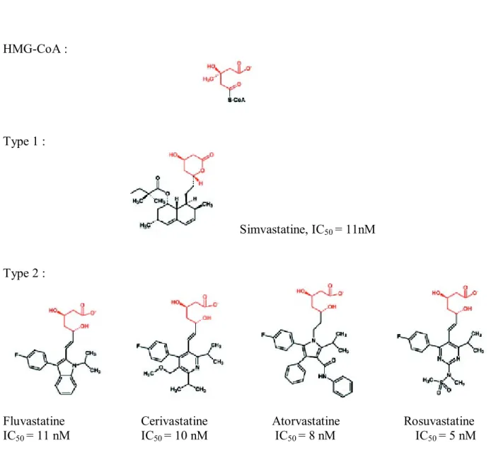Figure 10 (modifiée de  47 ) : structure chimique de différentes statines et de l’HMG-CoA (en  rouge)