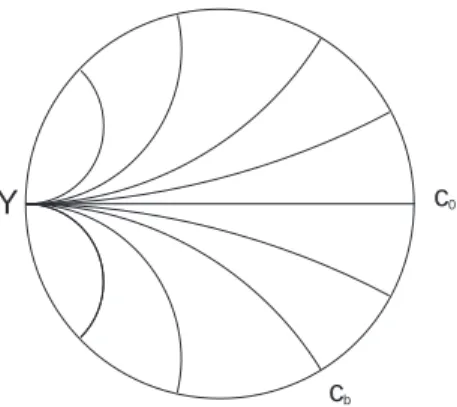 Fig. 4.1: Les g´eod´esiques qui forment le bord de Cauchy sont issues du mˆeme point Y .