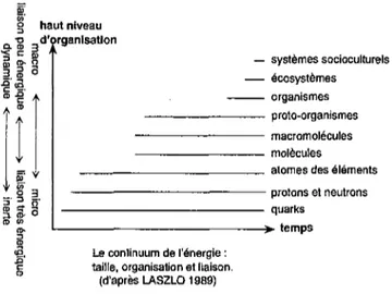 Figure 3 : le continum de l'énergie : taille, organisation et liaison  (Laszlo [1989])