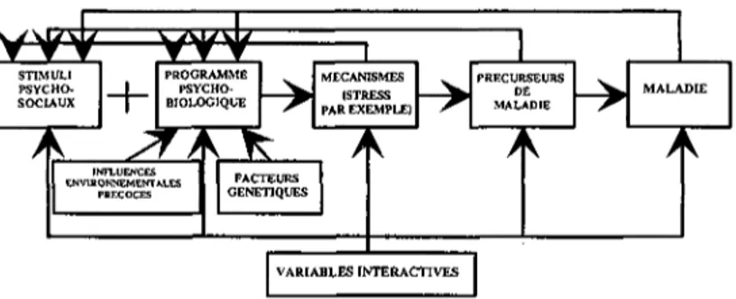 Figure 7 : Le modèle théorique de la maladie à médiation psychosociale  (Kagan et Levi [1975]) 