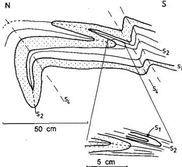 Fig. 28: Stereogram mes de densité des pôles de la schistosité S 4  et des 