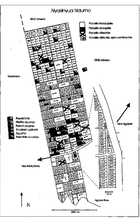 Figure 7: Statut et occupation des parcelles à Nyakinyua en avril 1995. 