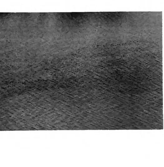 Figure 3: Photo aérienne d'une bande de Fuligules morillon  au repos sur le lac de Neuchâtel