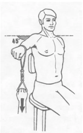 Figure 16 : Examen de la force selon Constant (Image tirée de « Examen programmé de 
