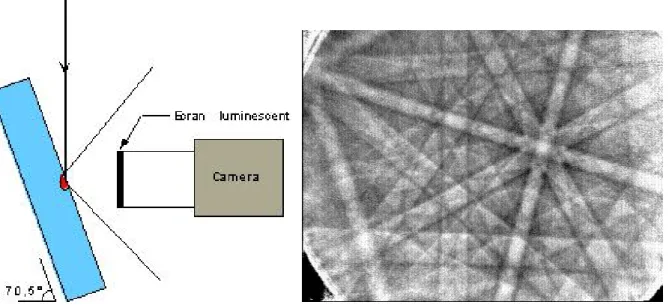 Figure 5 :  Géométrie du système d’analyse EBSD et image type de pseudo lignes de Kikuchi  observées sur la caméra (CIME-EPFL) 