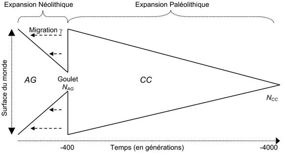 Figure 4.10 Schéma des simulations dans un monde carré homogène pour K et F (friction) et constitué de 