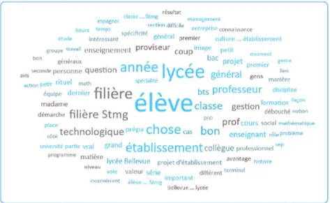 Figure 4 : Nuage de mots constitué à partir de l’analyse des résultats par le logiciel Sphin