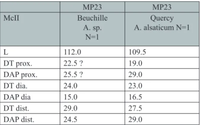 Tab. 3-4  Dimensions comparées des McII d’Antracotherium :  A. alsaticum du Quercy, NHMBasel (Q.L.9)