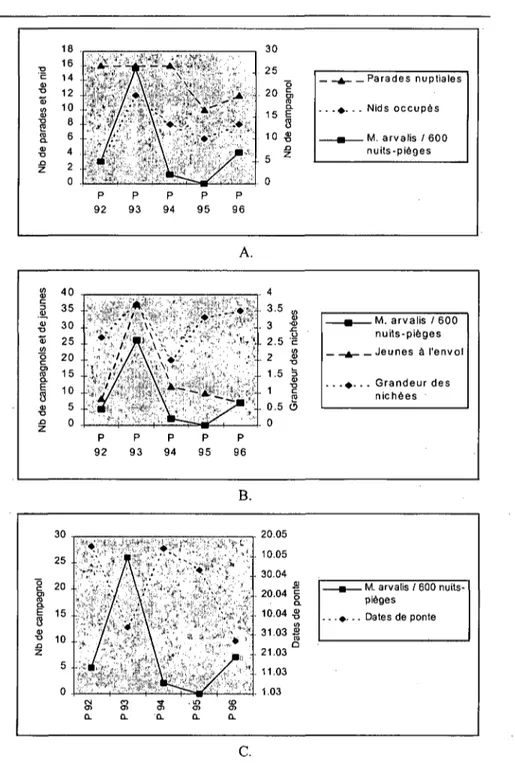 Fig. 9. Mise en évidence de la relation entre les variations printanières de  Campagnols des-champs et les performances de la reproduction observées sur la  zone A: (A) nombre de parades nuptiales et de nids occupés, (B) nombre déjeunes  à l'envol et grand