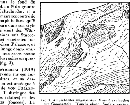 Fig. 3. Amphibolites migmatisées. Murs à avalanches  sur Goppcnstcin. D'après photo. Surface environ  25 dm *