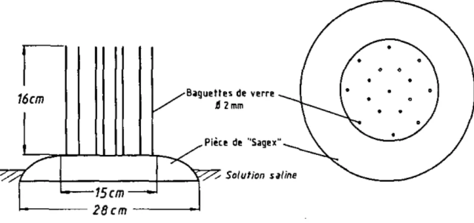Fig. 29 : Schema d'une pièce de &#34;sagex&#34; au bords arrondis, portant les  tiges de uerre