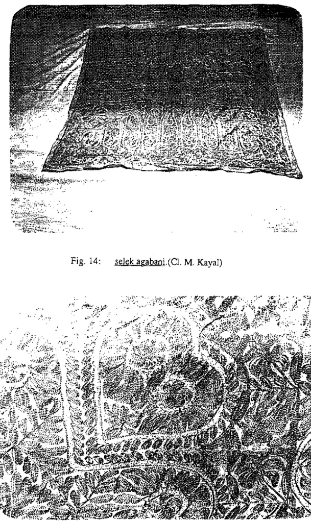 Fig- 14: selek agabani.(Cl. M. Kayal) 