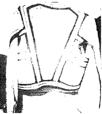 Fig. 18: abaya. (Cl. M. Kayal) 