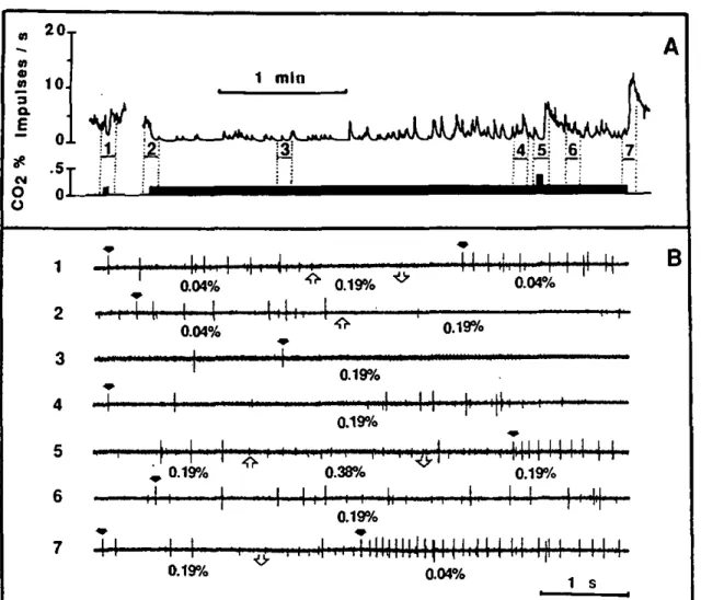 Fig. 7A 1 B. Adaptation of a C0 2 -inhibitcd receptor (boldarrow) of 
