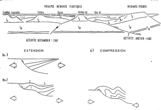 Fig. 10. Modèle (en coupe) du bassin de sédimentation des Préalpes Médianes en rive droite du Rhône au Lias