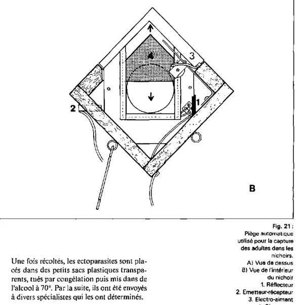 Fig. 21 :  Piège automatique  utilisé pour la capture  des adultes dans les  nichoirs
