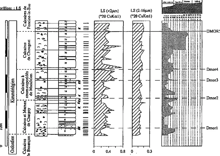 Fig. 3.9.: Variation de la LS à Morillon, fraction &lt;2um à gauche et fraction 2-16pjn à droite (en° 26  CuKoci)