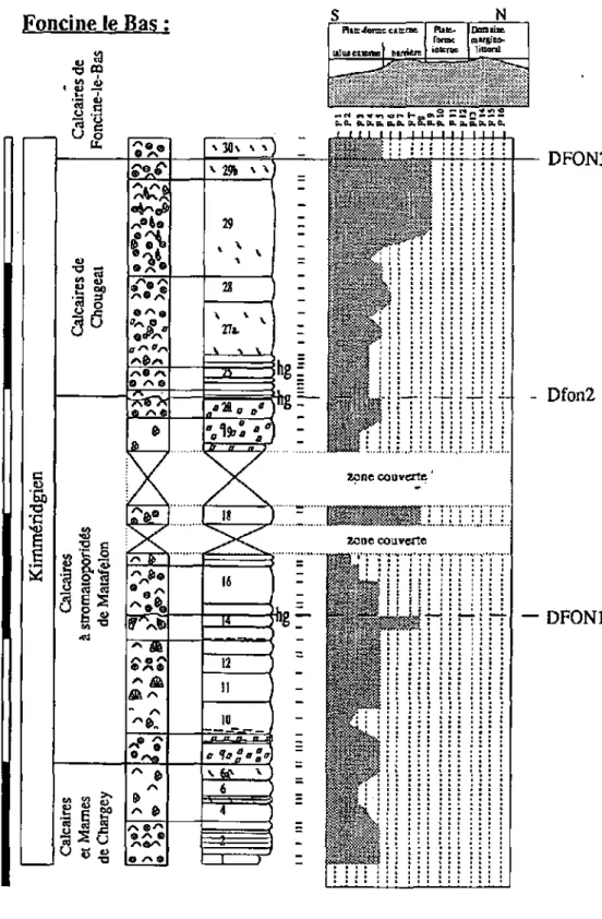 Fig. 2.5.3.: Foncine-le-Bas, courbe d'évolution des microfaciès et discontinuités. 